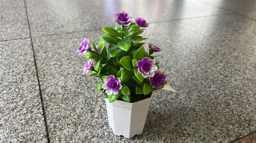 MG0119-14