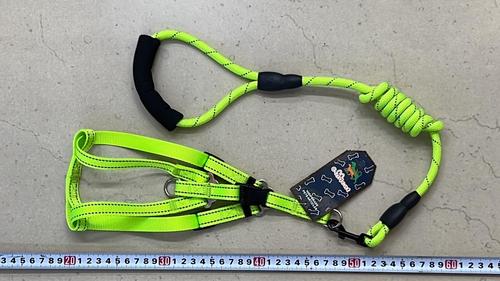 MG1242-62